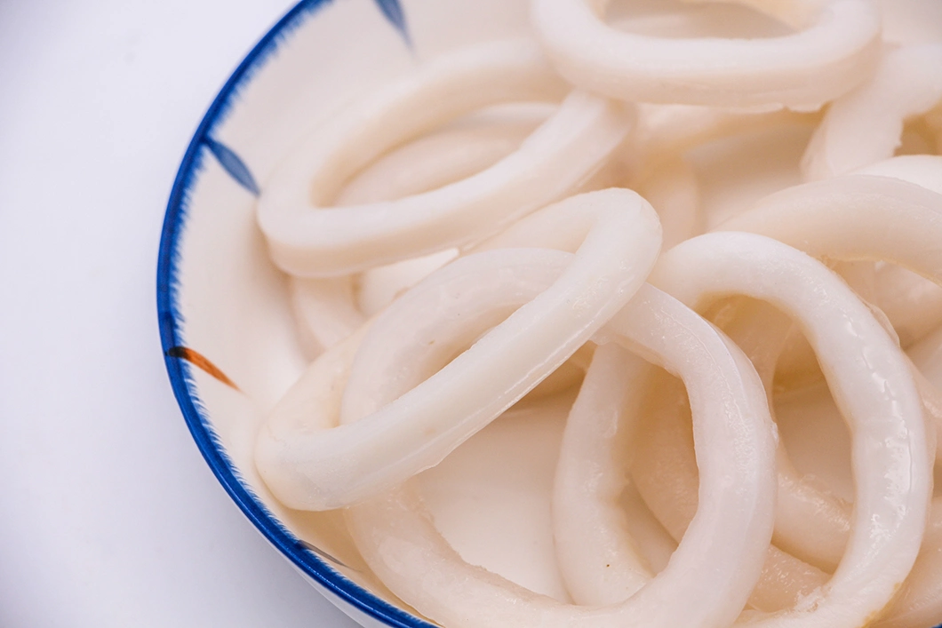 Frozen Skiness Todarodes Pacificus Squid Rings in Japan and South Korea