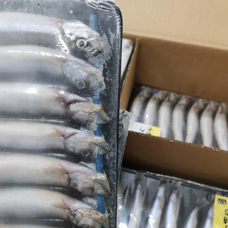 New Catching Frozen Capelin/Shishamo Fish for Sale IQF Capelin Bqf to Singapore