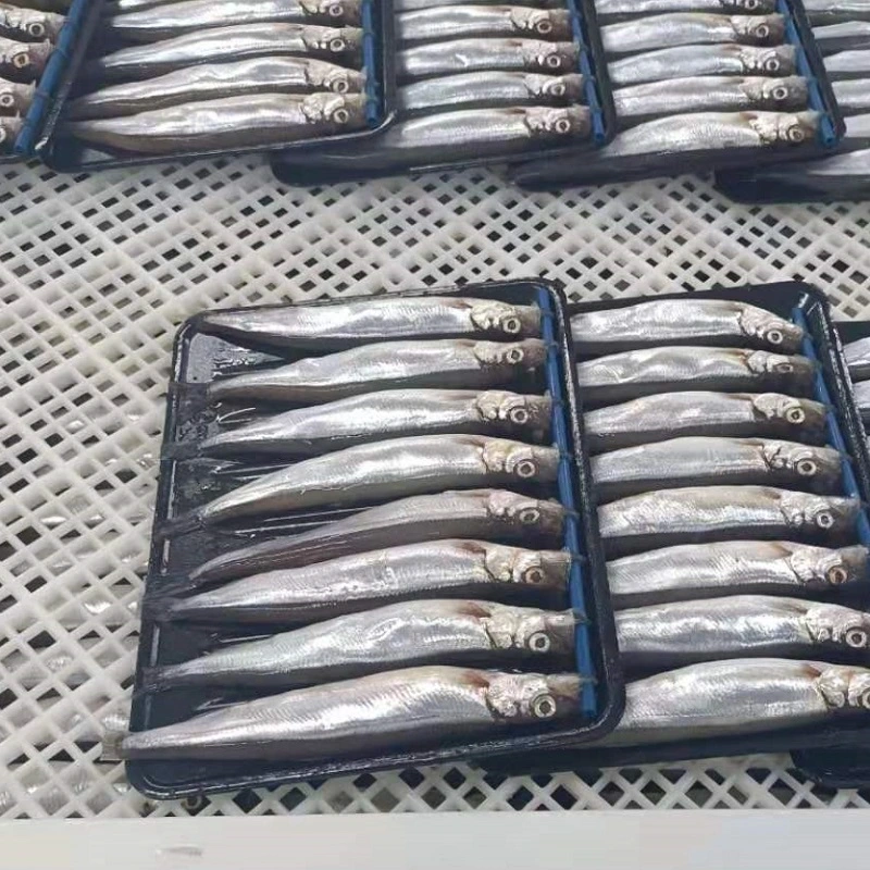 High Quality Frozen IQF/Bqf Capelin Fish for Sale Singapore Good Price