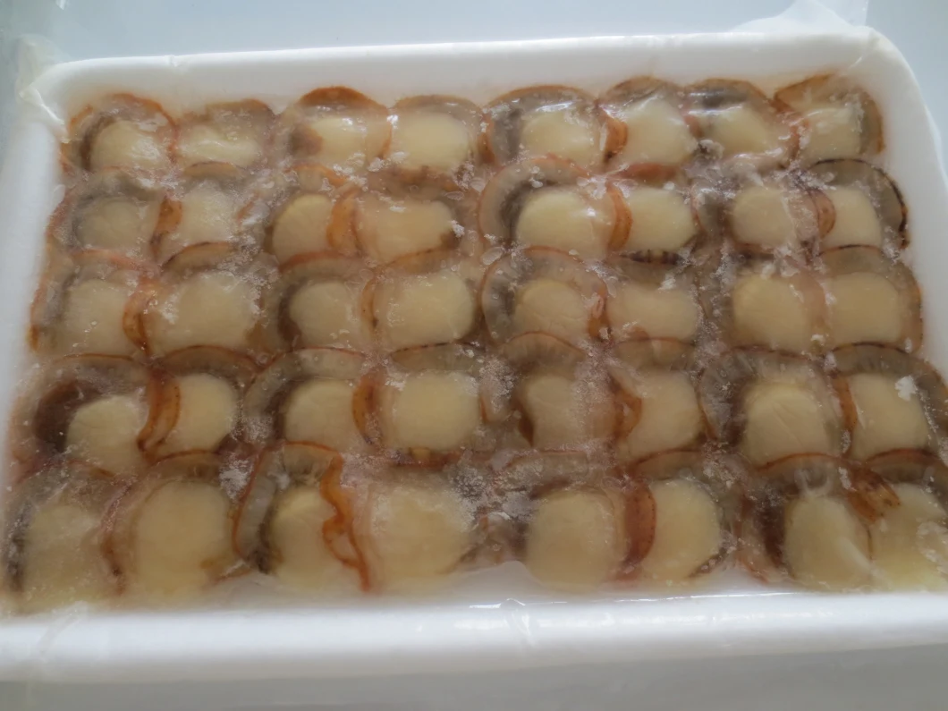 Frozen Boiled Sea Scallop Slice