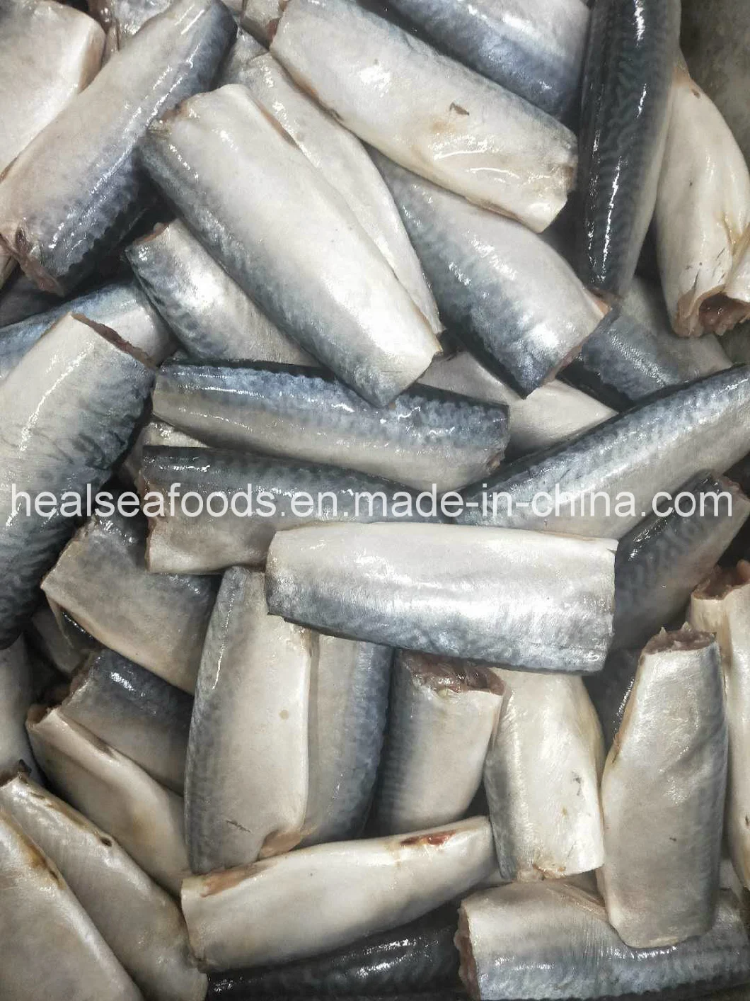 Land Frozen Pacific Mackerel Hgt with Good Price