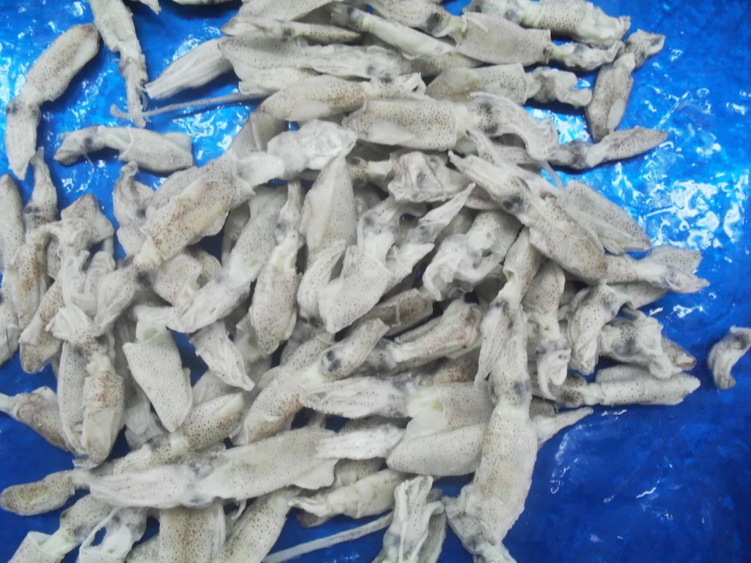 Frozen China Baby Squid, Loligo Japonica