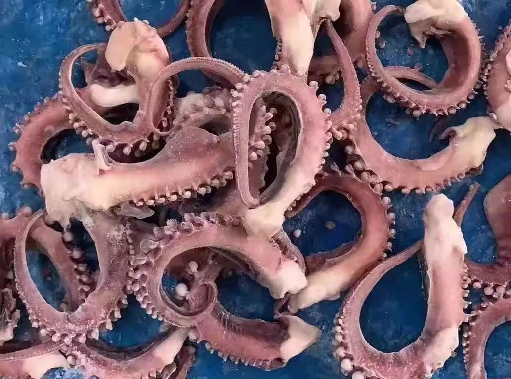 Frozen Squid Tentacle Strip Cut/ Giant Squid Tentacle/Frozen Seafood