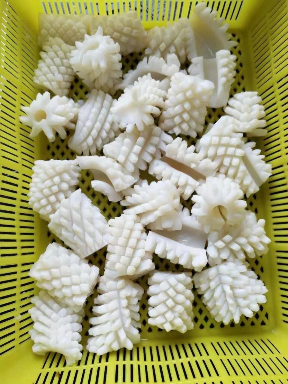 Frozen Seafood Nutritious Illex Argentinus Squid/Calamari Flower Cut with Best Price