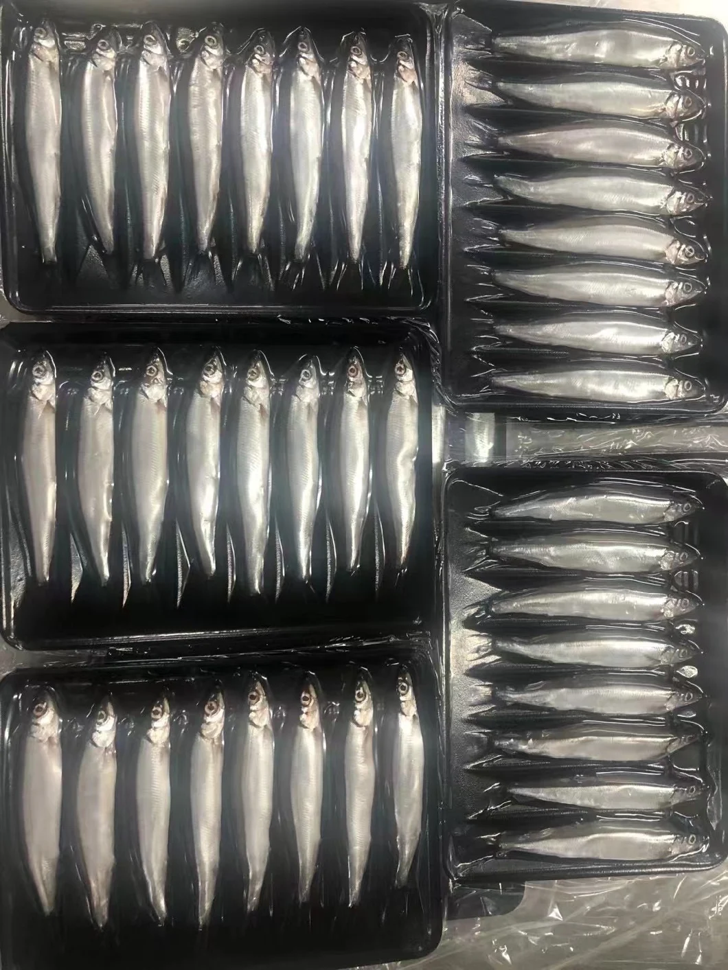 High Quality Frozen IQF/Bqf Capelin Fish for Sale Singapore Good Price