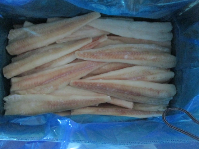 Frozen Alaska Pollock Fillet, Skin on/Skin off