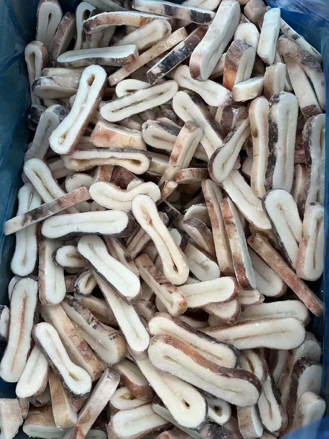 Frozen Squid Rings with Skin/Frozen Squid Rings Skin on /Calamari Squid Rings/Calamar /Pota/Sotong