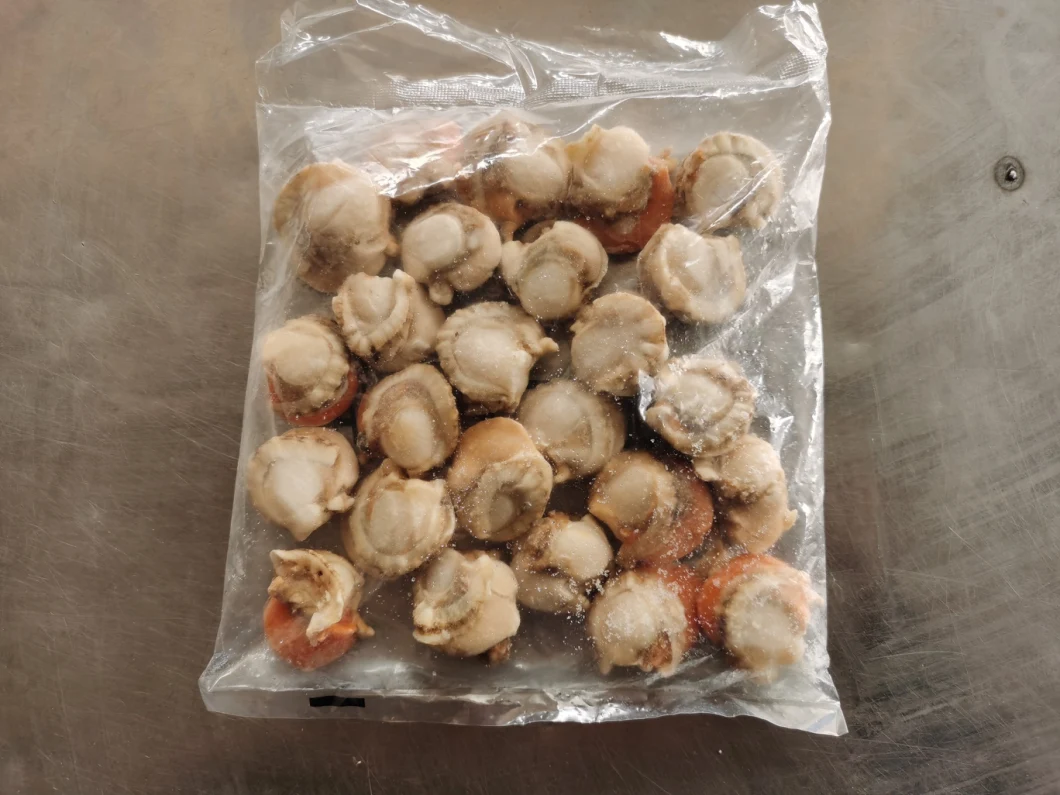 Frozen Seafood High Quality Boiled Delicious Scallop Meat