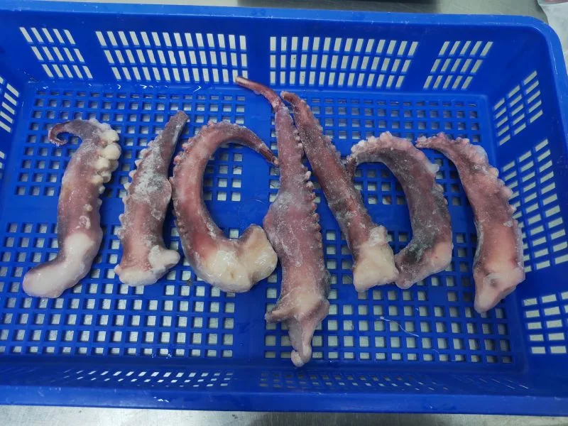 Frozen Squid Tentacle Strip Cut/ Giant Squid Tentacle/Gigas Squid Tentacle/Calamari Tentacle