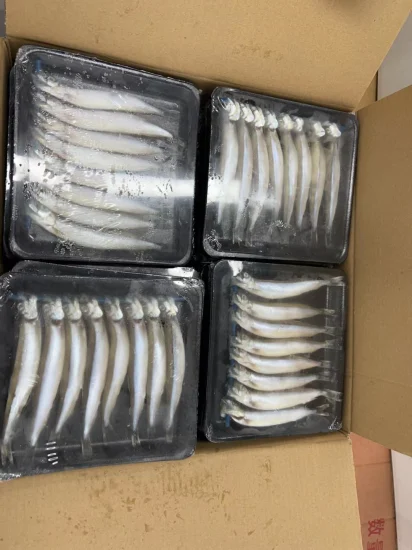 Poisson capelan congelé IQF/Bqf de haute qualité à vendre bon prix de Singapour