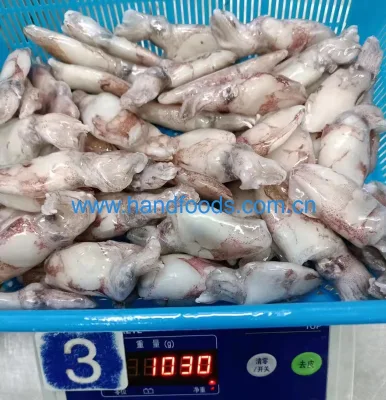 Vente chaude de fruits de mer de calmar Loligo congelé