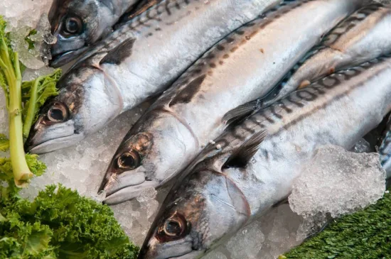 Poisson de maquereau du Pacifique surgelé Scomber Japonicus Vente en gros