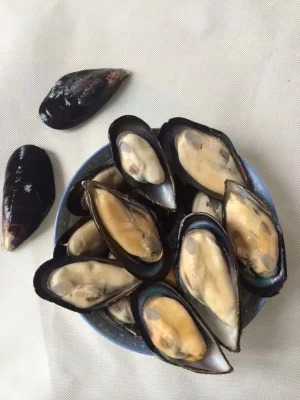 Moules demi-coquilles de fruits de mer de qualité supérieure surgelées à bon prix